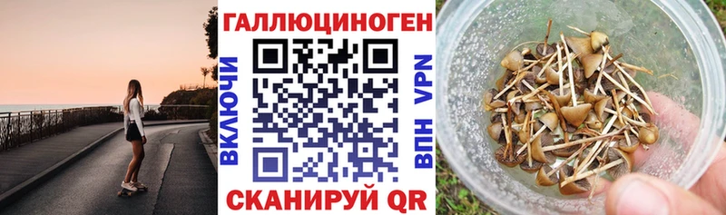 даркнет формула  Спасск  Псилоцибиновые грибы Cubensis 